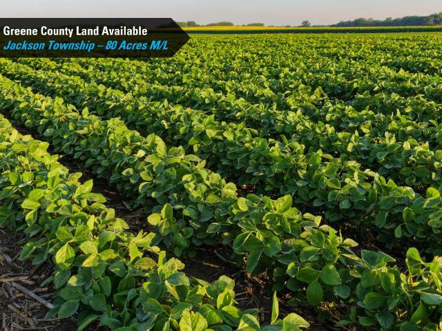 Land for sale in Scranton, Iowa