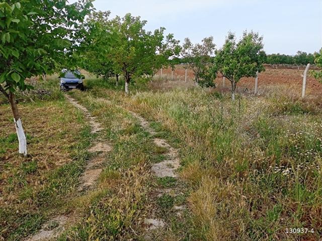 Yenişehir, Bursa içerisinde satılık Arsa