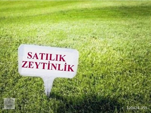 Hacıtuğrul, Edremit içerisinde satılık mülk