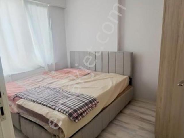 Erenler, Afyonkarahisar Merkez içerisinde kiralık mülk