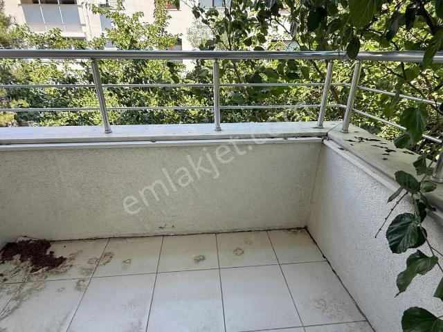 Maltepe, İstanbul içerisinde kiralık mülk