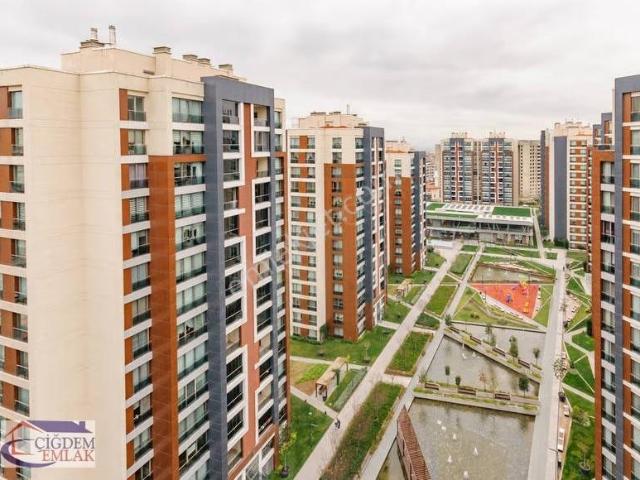 Zeytinburnu, İstanbul içerisinde kiralık mülk