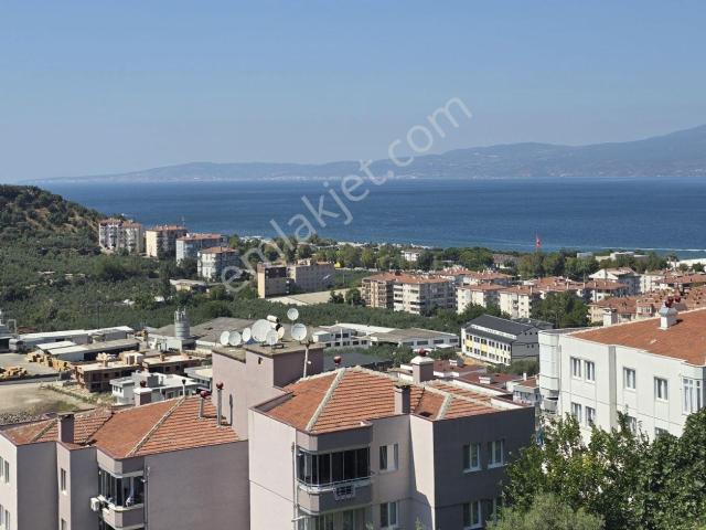 Yenimahalle, Mudanya içerisinde kiralık mülk