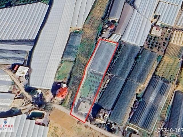 Köpenli, Gazipaşa içerisinde satılık Arsa