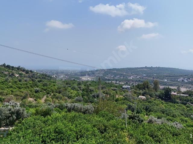 Erdemli, Mersin içerisinde satılık Arsa