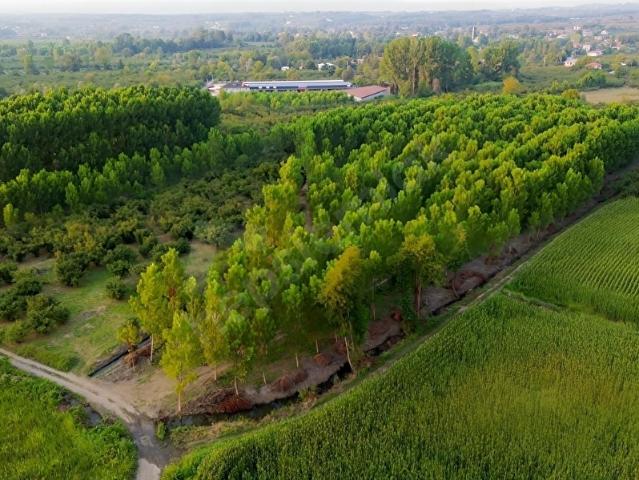 Hendek, Sakarya içerisinde satılık Arsa