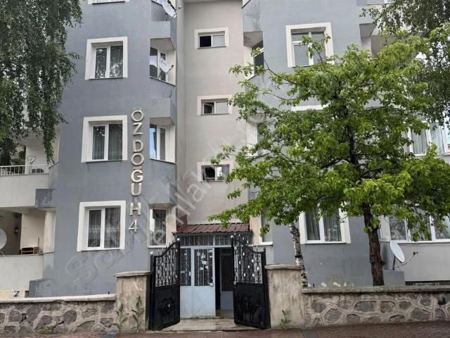 Aziziye, Erzurum içerisinde kiralık mülk