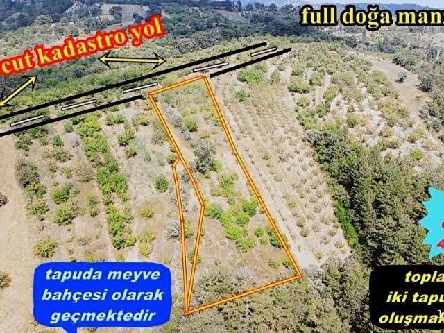 Demirci, Manisa içerisinde satılık Arsa