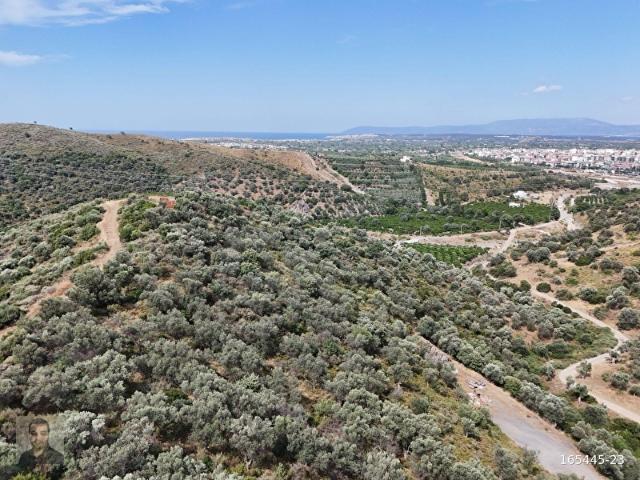 Seferihisar, İzmir içerisinde satılık mülk
