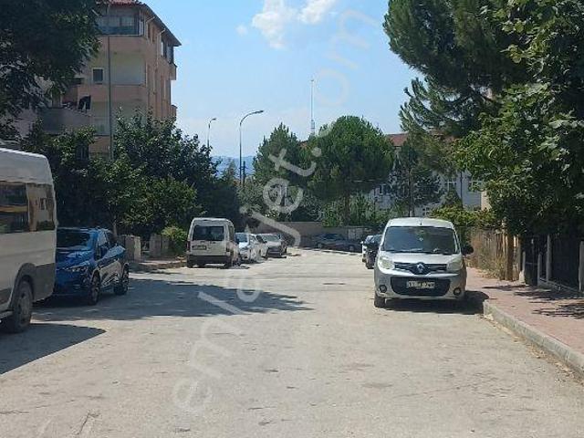 Bilecik Merkez, Bilecik içerisinde kiralık mülk