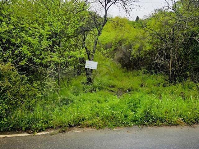 Şile, İstanbul içerisinde satılık Arsa