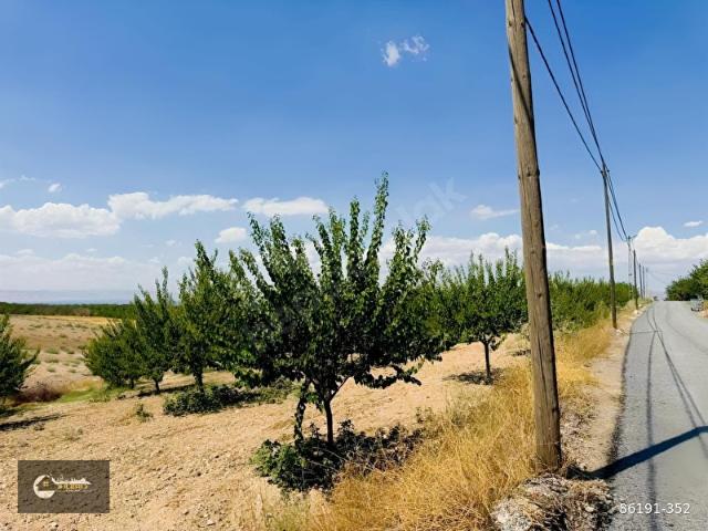 Battalgazi, Malatya içerisinde satılık mülk
