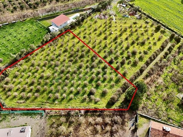 Ortaca, Muğla içerisinde satılık Arsa