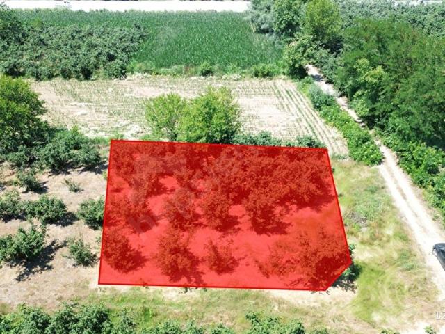 Çilimli, Düzce içerisinde satılık Arsa