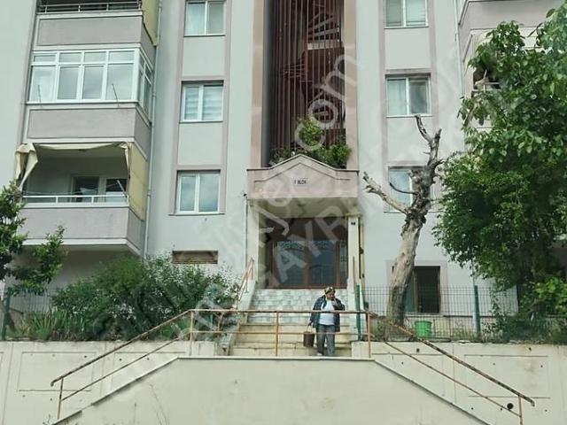 Körfez, Kocaeli içerisinde satılık mülk