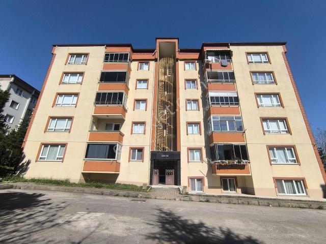 Körfez, Kocaeli içerisinde kiralık mülk