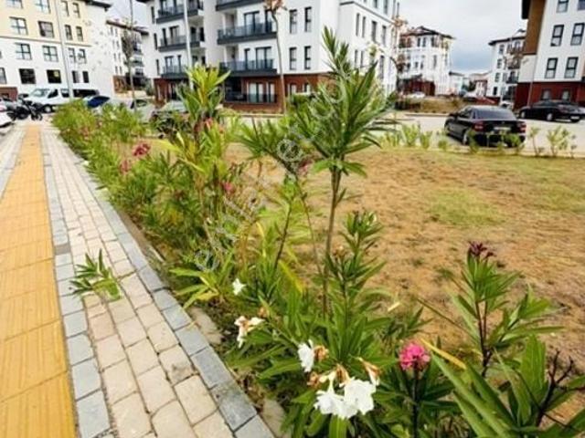 Körfez, Kocaeli içerisinde satılık mülk