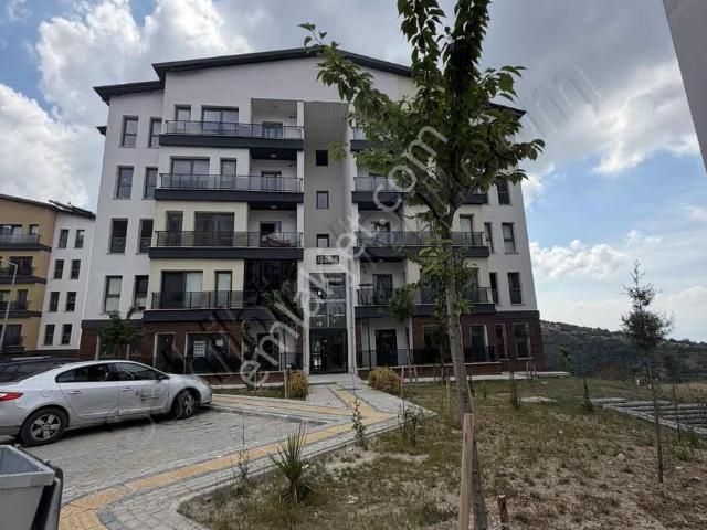 Körfez, Kocaeli içerisinde kiralık mülk