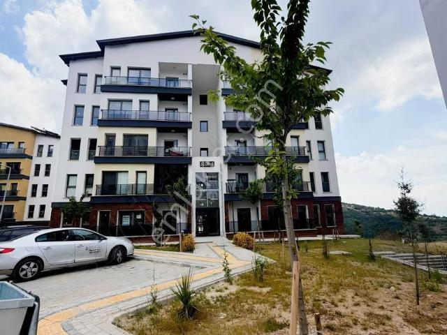 Körfez, Kocaeli içerisinde kiralık mülk