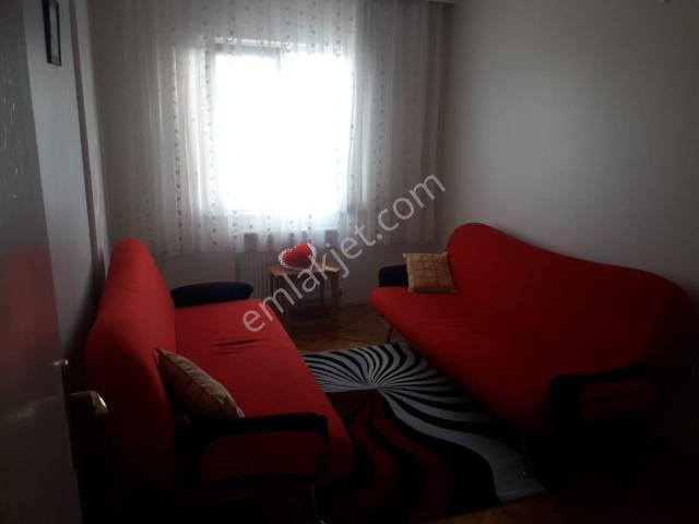 Körfez, Kocaeli içerisinde kiralık mülk