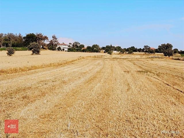 Gülçavuş, Enez içerisinde satılık Arsa