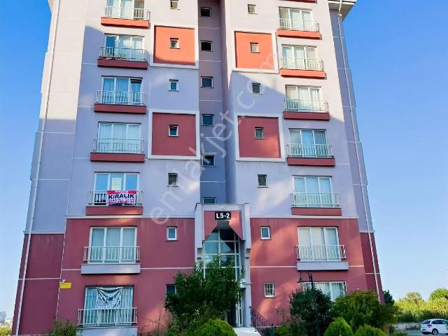 İlkadim, Samsun içerisinde kiralık mülk