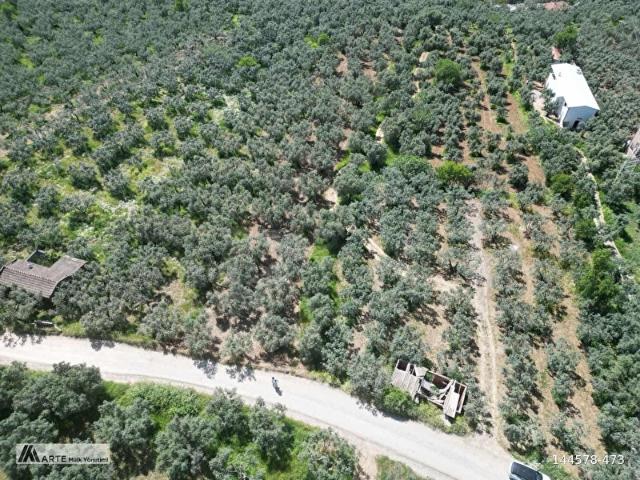 Atatürk Mahallesi, Erdek içerisinde satılık mülk
