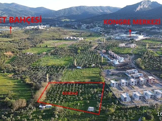 Soğukpınar Mahallesi, Kemalpaşa içerisinde satılık mülk