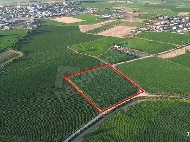 Torbali, İzmir içerisinde satılık Arsa