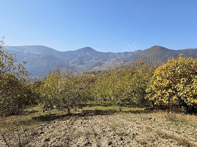 Geyve, Sakarya içerisinde satılık Arsa