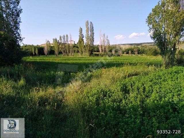 Zemzemiye, Söğüt içerisinde satılık Arsa