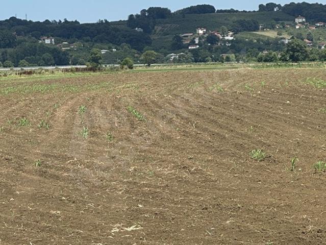 Kaynarca, Sakarya içerisinde satılık Arsa