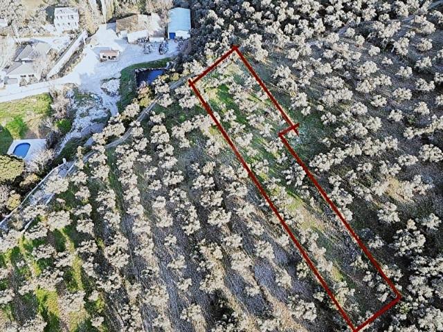 Selçuk, İzmir içerisinde satılık Arsa