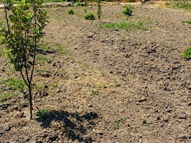 Şahinbey, Gaziantep içerisinde satılık mülk