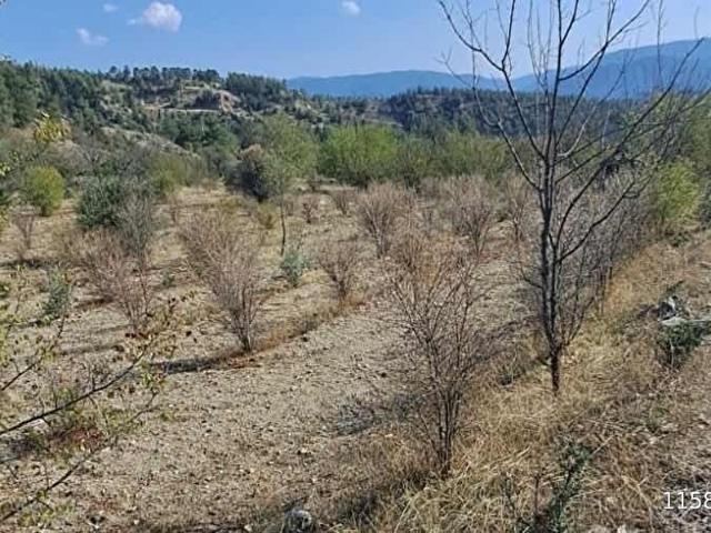Saricakaya, Eskişehir içerisinde satılık Arsa