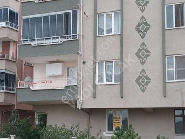 Tokat Merkez, Tokat içerisinde kiralık mülk