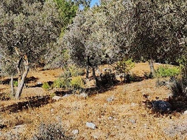 Bodrum, Muğla içerisinde satılık Arsa