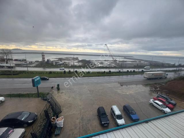 Keşap, Giresun içerisinde satılık mülk