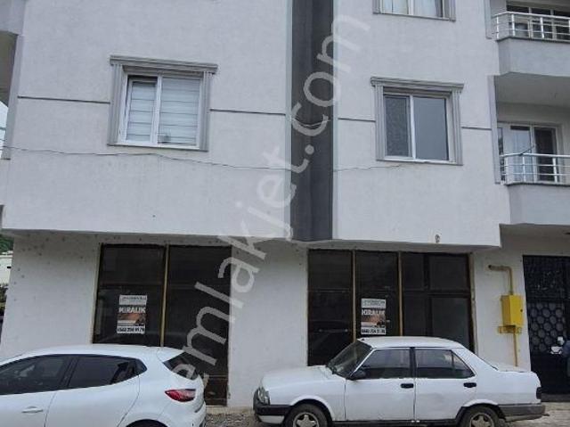 Atakum, Samsun içerisinde kiralık mülk