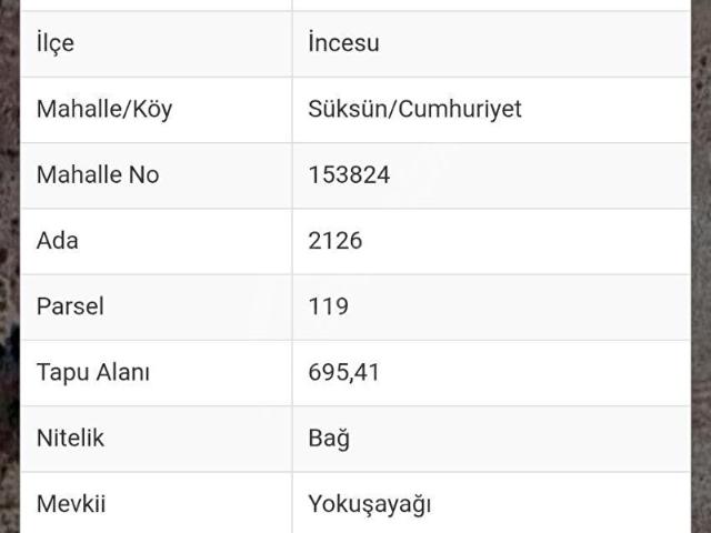 Aşağı Bağ, İncesu içerisinde satılık mülk