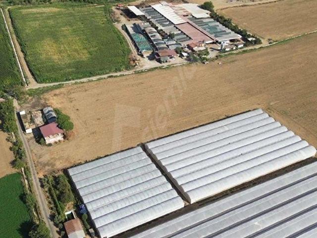Gerenkova, İncirliova içerisinde satılık Arsa