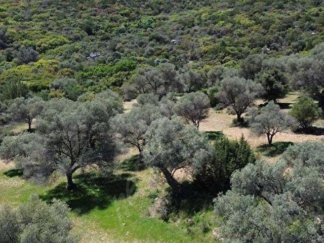 Karaburun, İzmir içerisinde satılık mülk