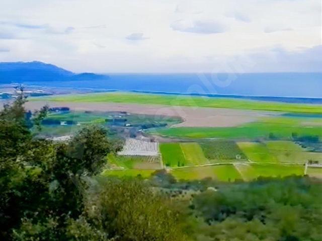 Ortaca, Muğla içerisinde satılık mülk