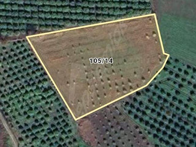 Köyceğiz, Muğla içerisinde satılık Arsa