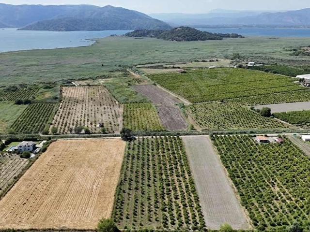 Ortaca, Muğla içerisinde satılık mülk