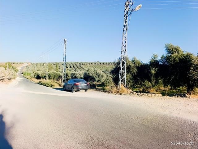 Bozhöyük, Antakya içerisinde satılık Arsa