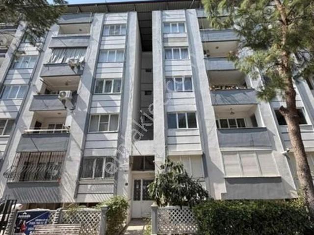 İsabeyli, Nazilli içerisinde kiralık mülk