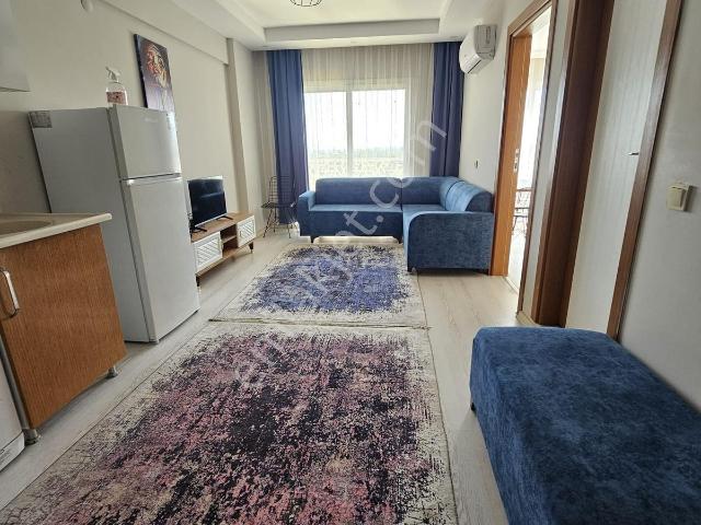 Nazilli, Aydin içerisinde kiralık mülk