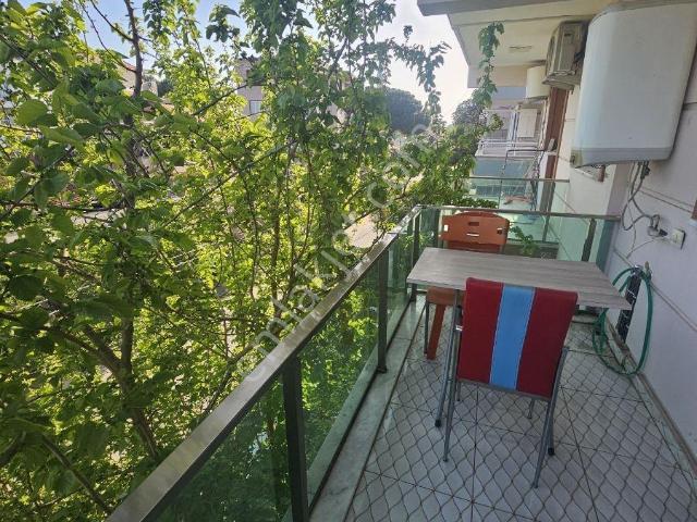 Nazilli, Aydin içerisinde kiralık mülk