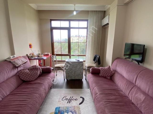 Nazilli, Aydin içerisinde kiralık mülk
